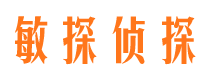 金东侦探公司